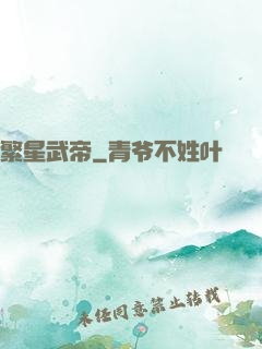 繁星武帝