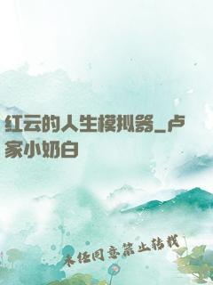 红云的人生模拟器