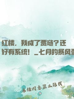 红楼，我成了贾琏？还好有系统！