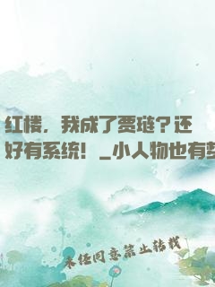 红楼，我成了贾琏？还好有系统！