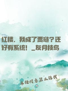 红楼，我成了贾琏？还好有系统！