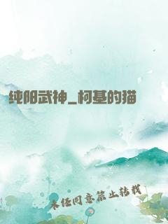 纯阳武神