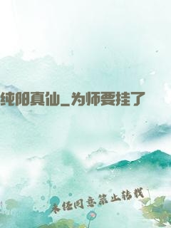 纯阳真仙