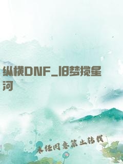 纵横DNF