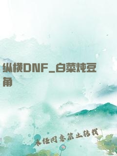 纵横DNF
