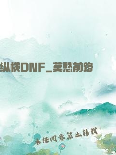 纵横DNF