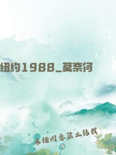 纽约1988