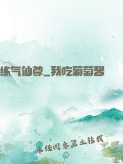练气仙尊