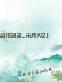 终极魂道