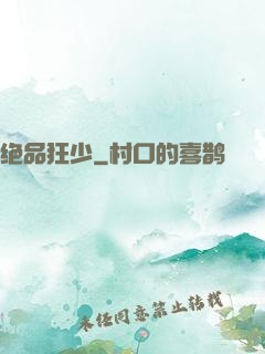 绝品狂少