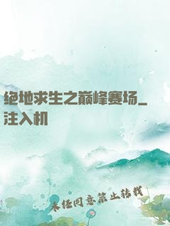 绝地求生之巅峰赛场