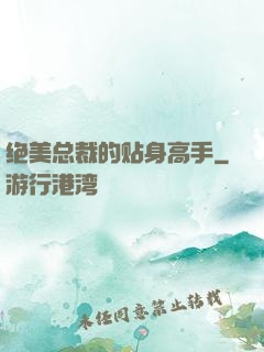 绝美总裁的贴身高手