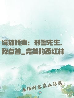 缉捕娇妻：刑警先生，我自首