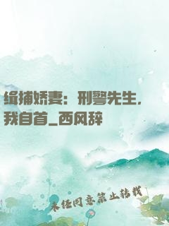 缉捕娇妻：刑警先生，我自首