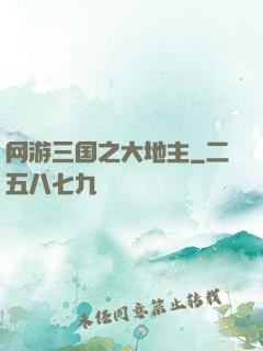 网游三国之大地主