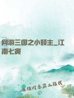 网游三国之小领主