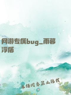 网游专属bug
