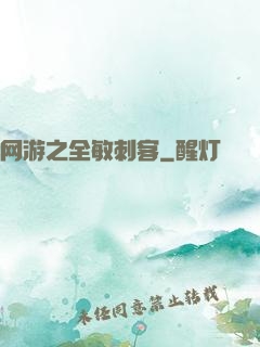网游之全敏刺客