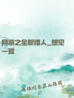 网游之全职猎人