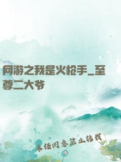 网游之我是火枪手