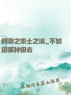 网游之率土之滨
