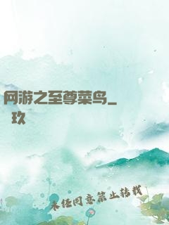 网游之至尊菜鸟