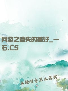 网游之遗失的美好