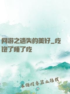 网游之遗失的美好