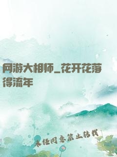 网游大相师