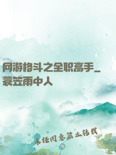 网游格斗之全职高手
