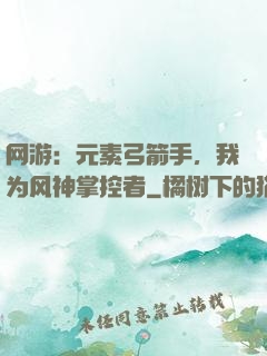 网游：元素弓箭手，我为风神掌控者