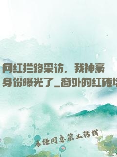 网红拦路采访，我神豪身份曝光了