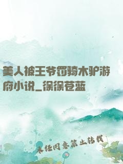 美人被王爷罚骑木驴游府小说