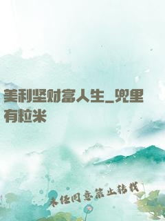 美利坚财富人生