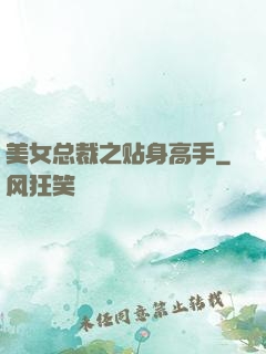 美女总裁之贴身高手