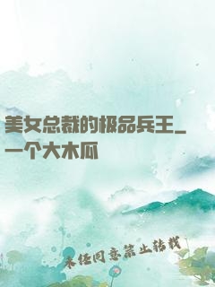 美女总裁的极品兵王