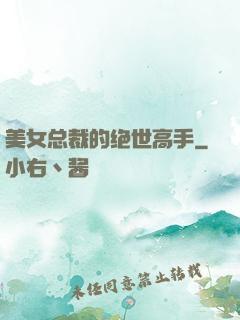 美女总裁的绝世高手