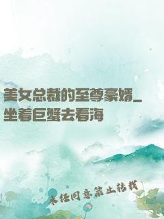 美女总裁的至尊豪婿