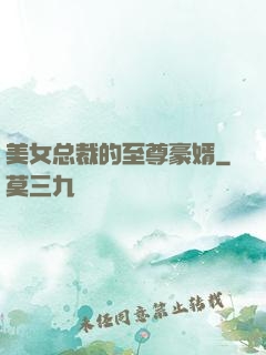美女总裁的至尊豪婿