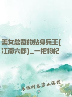 美女总裁的贴身兵王(江南六郎)