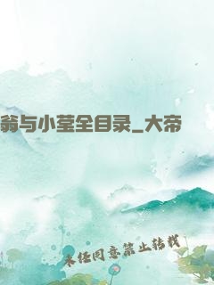 翁与小莹全目录