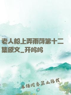 老人船上弄雨荷第十二集原文
