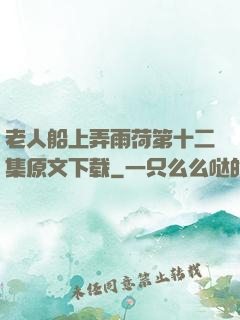 老人船上弄雨荷第十二集原文下载