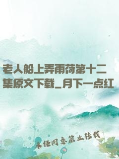 老人船上弄雨荷第十二集原文下载