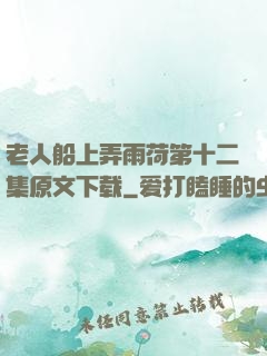 老人船上弄雨荷第十二集原文下载