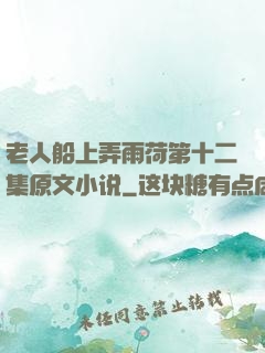 老人船上弄雨荷第十二集原文小说