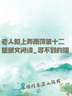 老人船上弄雨荷第十二集原文阅读