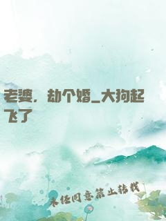 老婆，劫个婚