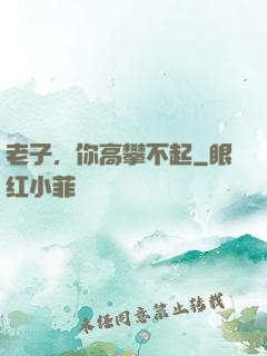 老子，你高攀不起