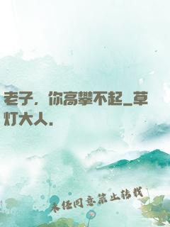 老子，你高攀不起